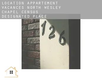 Location appartement vacances  North Wesley Chapel
