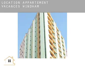 Location appartement vacances  Windham