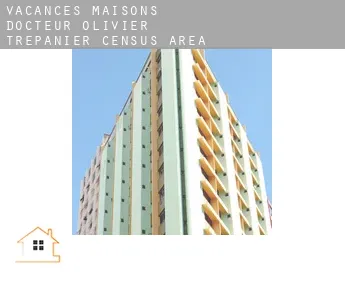 Vacances maisons  Docteur-Olivier-Trépanier (census area)