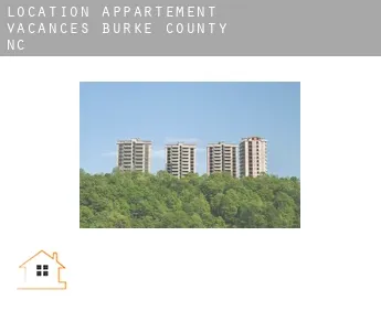 Location appartement vacances  Burke