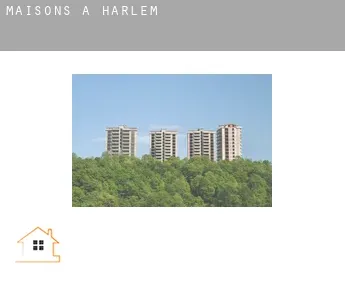 Maisons à  Harlem