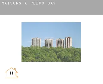 Maisons à  Pedro Bay