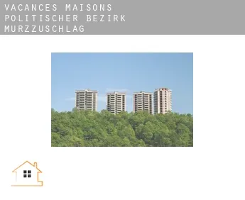 Vacances maisons  Politischer Bezirk Mürzzuschlag