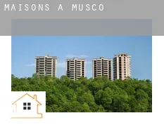 Maisons à Muscoy