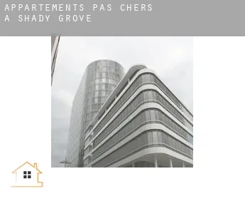 Appartements pas chers à  Shady Grove