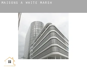 Maisons à  White Marsh