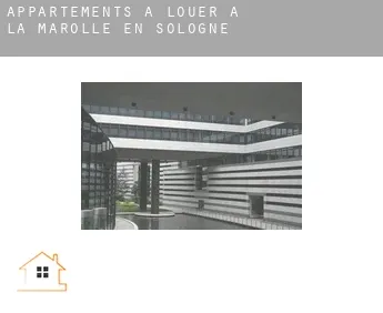 Appartements à louer à  La Marolle-en-Sologne