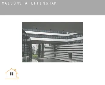 Maisons à  Effingham