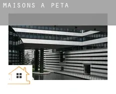 Maisons à Petal