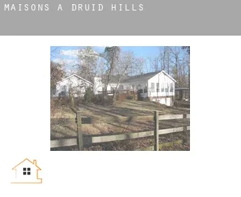 Maisons à  Druid Hills