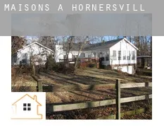 Maisons à  Hornersville