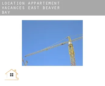 Location appartement vacances  East Beaver Bay