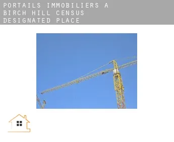 Portails immobiliers à  Birch Hill