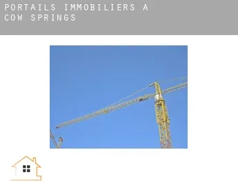 Portails immobiliers à  Cow Springs