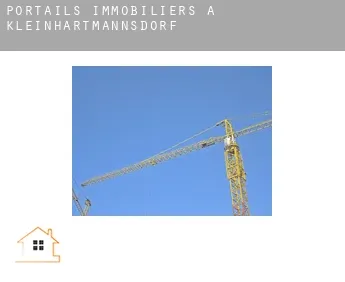 Portails immobiliers à  Kleinhartmannsdorf