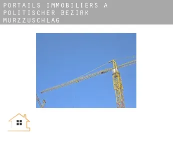 Portails immobiliers à  Politischer Bezirk Mürzzuschlag