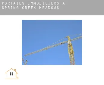 Portails immobiliers à  Spring Creek Meadows