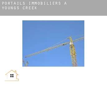 Portails immobiliers à  Youngs Creek