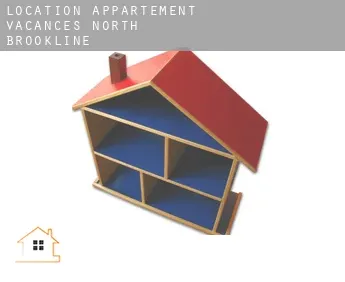 Location appartement vacances  North Brookline