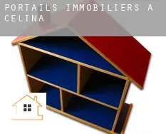 Portails immobiliers à Celina