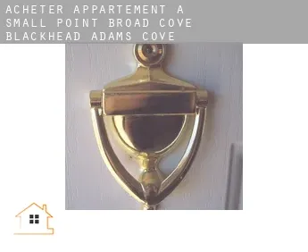 Acheter appartement à  Small Point-Broad Cove-Blackhead-Adams Cove