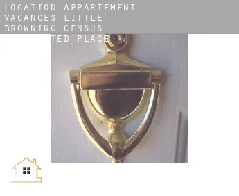 Location appartement vacances  Little Browning