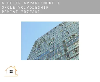 Acheter appartement à  Powiat brzeski (Opole Voivodeship)