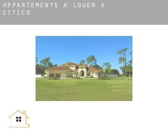Appartements à louer à  Citico
