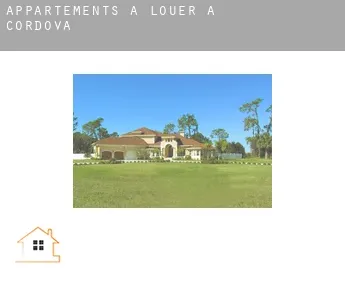 Appartements à louer à  Cordova