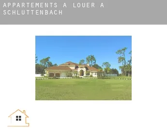 Appartements à louer à  Schluttenbach
