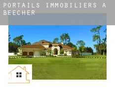 Portails immobiliers à Beecher