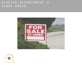 Acheter appartement à  Cedar Grove