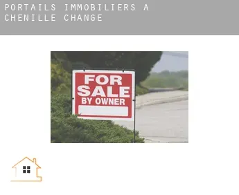 Portails immobiliers à  Chenillé-Changé