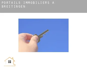 Portails immobiliers à  Breitingen