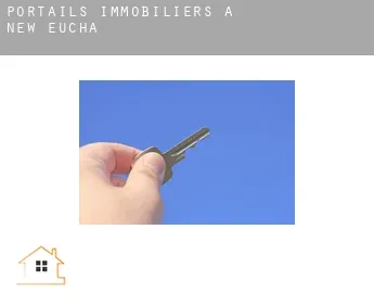 Portails immobiliers à  New Eucha