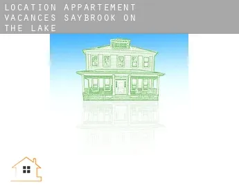 Location appartement vacances  Saybrook-on-the-lake