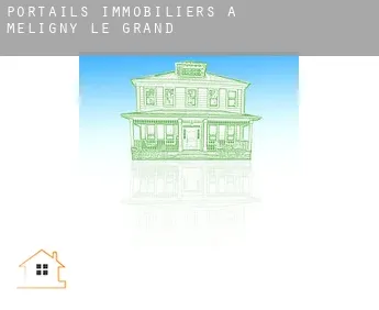 Portails immobiliers à  Méligny-le-Grand