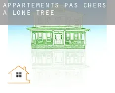 Appartements pas chers à Lone Tree