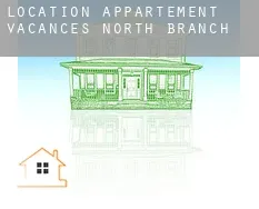 Location appartement vacances North Branch