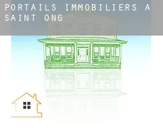 Portails immobiliers à Saint Onge