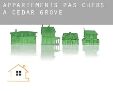 Appartements pas chers à Cedar Grove