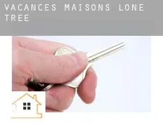 Vacances maisons Lone Tree
