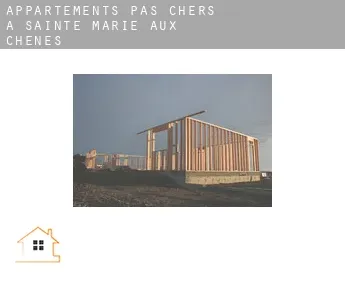 Appartements pas chers à  Sainte-Marie-aux-Chênes