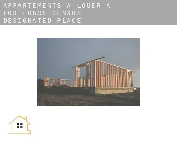 Appartements à louer à  Los Lobos