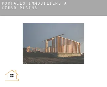 Portails immobiliers à  Cedar Plains