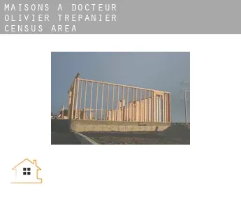 Maisons à  Docteur-Olivier-Trépanier (census area)