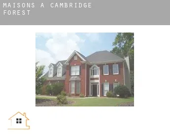 Maisons à  Cambridge Forest