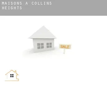 Maisons à  Collins Heights