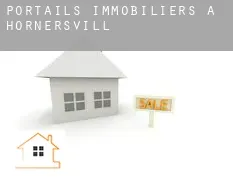 Portails immobiliers à  Hornersville