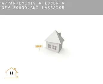 Appartements à louer à Terre-Neuve-et-Labrador